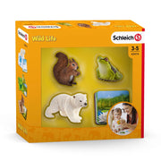 Schleich 42474 Wild Life Flash Cards