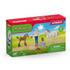 Schleich 42486 Vet Visiting Mare And Foal