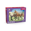 Schleich 42738 Horse Club Starter Set