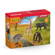 Schleich 72161 Farm & Pet Starter Set