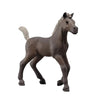 Schleich 81460 Collectible Foal Darcy