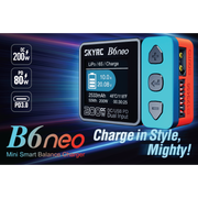 Sky RC 100198 B6 Neo Smart Charger (Grey)