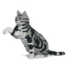 Jekca ST19ASC03-M01 American Shorthair Cat 03S