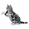 Jekca ST19ASC03-M01 American Shorthair Cat 03S