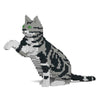 Jekca ST19ASC03-M01 American Shorthair Cat 03S