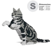 Jekca ST19ASC03-M01 American Shorthair Cat 03S