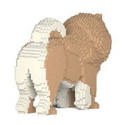 Jekca ST19CC02 Chow Chow M01