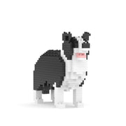 Jekca ST19DM08 Border Collie Mini 01S