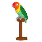 Jekca ST19MA28 Love Bird 01S