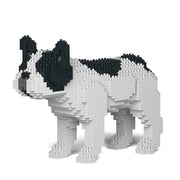 Jekca ST19PT23-M04 French Bulldog 01S-M04