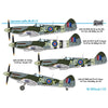 Sword 72095 1/72 Supermarine Spitfire Mk.XIVC/E with Mask