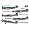 Sword 72096 1/72 Supermarine Spitfire Mk.XIVC/E Bubbletop with Mask
