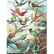 Twigg Puzzles Hummingbirds - Ernst Haeckel 228pc Wooden Jigsaw Puzzle