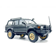 WPL 1/16 LC80 4WD RC SUV Truck (Black)