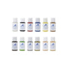 Artesania 277PACK15 Paint Set for Figurines - Advanced