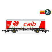 Hornby R60268 RailRoad Caib PVA Van