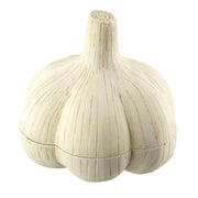 Mega House Garlic Puzzle