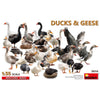 MiniArt 1/35 Ducks And Geese