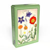 Penny Puzzle 016 Wild Flora Archive 99pc Micro Jigsaw Puzzle