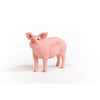 Schleich 13933 Pig