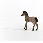Schleich 13949 Criollo Definitivo Foal