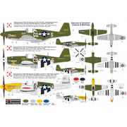 KP Models 0247 1/72 P-51B Mustang Malcolm Hood
