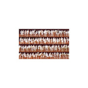 AMRI 1-0243 N Standing Figures Set 24pce - Metro Hobbies