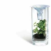 4M FSG3281 Green Science Clear Water Science