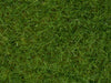 Noch 07102 Wild Grass (Light Green) 50g