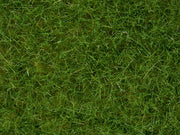 Noch 07102 Wild Grass (Light Green) 50g