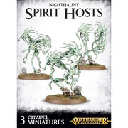 Warhammer Age of Sigmar Nighthaunt Spirit Hosts