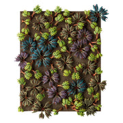 Citadel Barbed Bracken