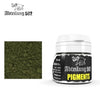 Abteilung 502 ABTP048 Faded Moss Green Pigment 20mL