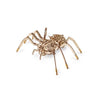 Australian Geographic Mechanical Spider