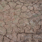 AK Interactive AK8034 Wet Crackle Effects - 100ml (Acrylic)