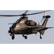 Bronco CK04825 1/48 Chinese WZ-10 Attack Helicopter Diecast Model