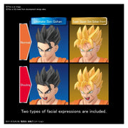 Bandai 50604401 Figure-rise Standard Ultimate Son Gohan Dragon Ball Z