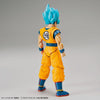 Bandai 50555921 Figure-rise Super Saiyan God Super Saiyan Son Goku Special Color Dragon Ball Super