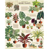 Cavallini House Plants 1000pc Jigsaw Puzzle