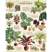 Cavallini 1000pc House Plants Jigsaw Puzzle