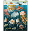 Cavallini Jellyfish 1000pc Jigsaw Puzzle