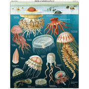 Cavallini Jellyfish 1000pc Jigsaw Puzzle
