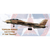 Calibre Wings 72TP05 1/72 F-14A NFWS/NSAWC TopGUN Desert BuNo 160913 Diecast Aircraft