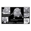Dragon 11015 1/72 Apollo 17 The Last J-Mission CSM + LM + Lunar Rover
