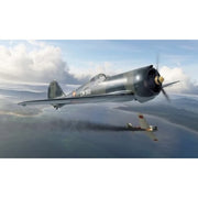 Dora Wings 48052 1/48 Curtiss-Wright CW-21b