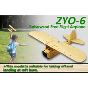 Dancing Wings Hobby VA01 Hand Launch Free Flight ZYO-6 Kit