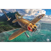 Dora Wings 1/48 Granville P-45B Bee Killer (What if..?) DW-48010