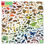 eeBoo A Rainbow World 1000pc Jigsaw Puzzle