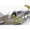Eduard 11159 1/48 Red Tails and Co. Limited Edition Dual Combo