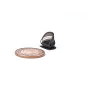 Eduard 648659 1/48 Sopwith Camel Seat Print